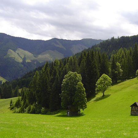 Kirchenbichlerhof Villa Pruggern Kültér fotó