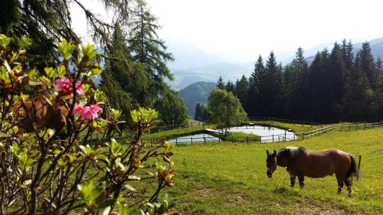 Kirchenbichlerhof Villa Pruggern Kültér fotó