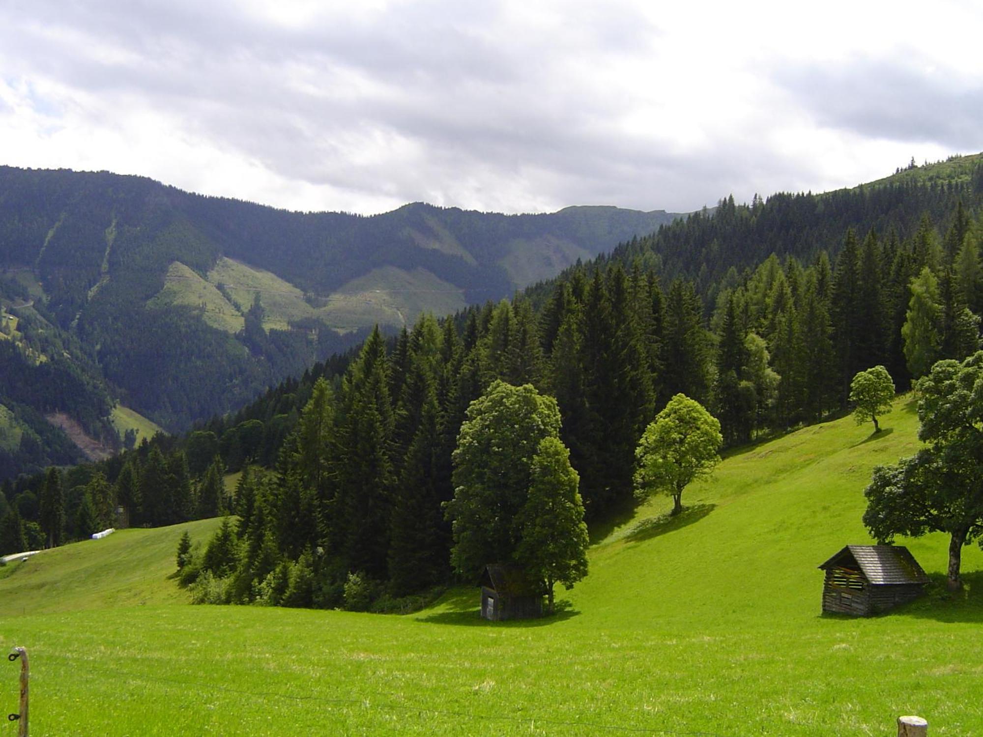 Kirchenbichlerhof Villa Pruggern Kültér fotó